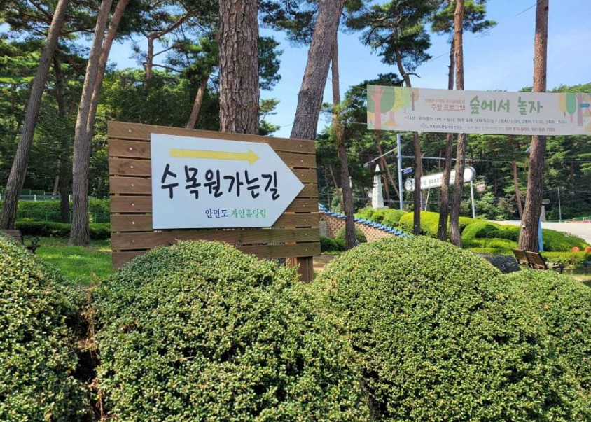 안면도수목원