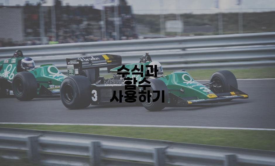 수식과 함수 사용하기