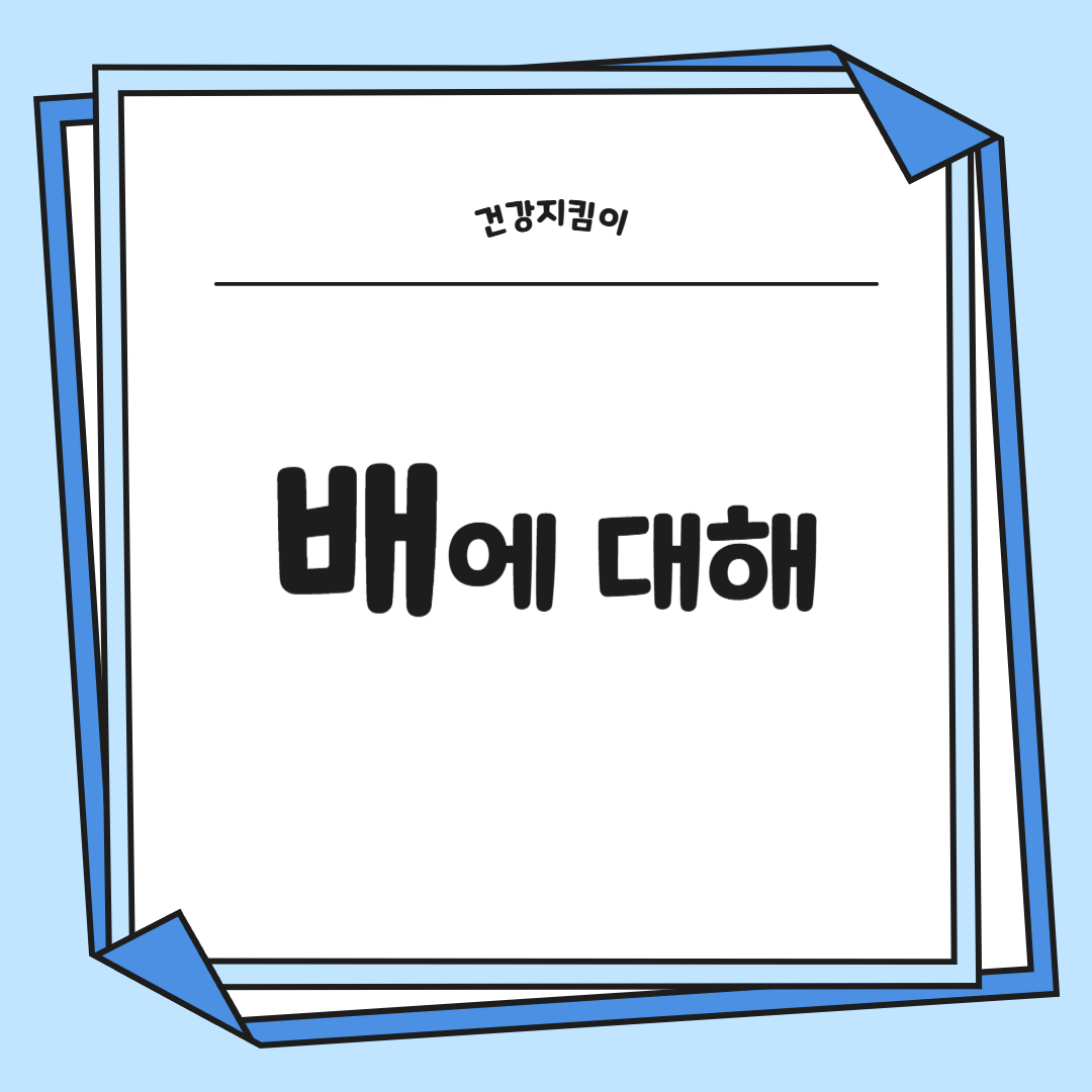 배의 효능 영양성분 부작용