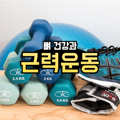 근력운동이 뼈 건강에 미치는 긍정적인 영향