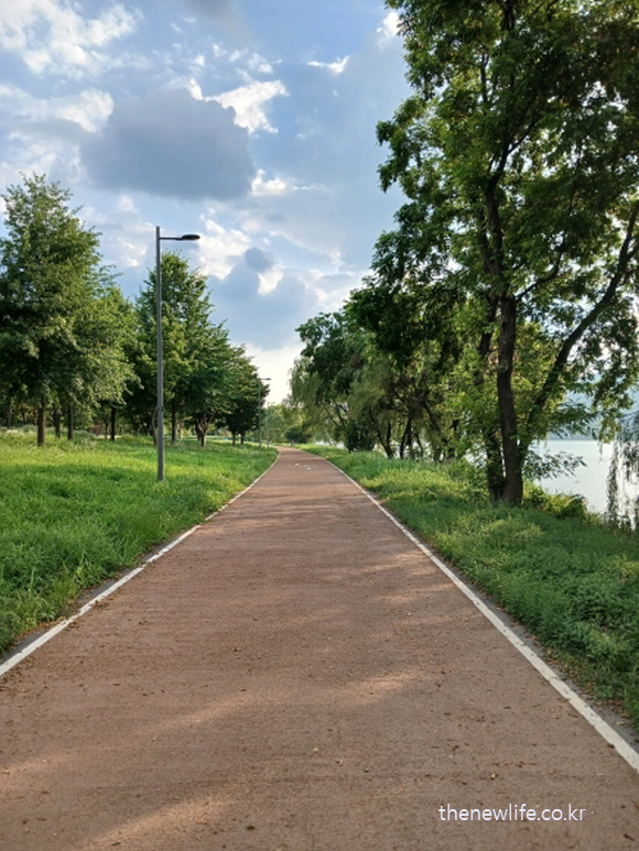 서울 암사생태공원 걷기 좋은 길 &ndash; 강변과 나무가 함께 어우러진 조용한 산책로
