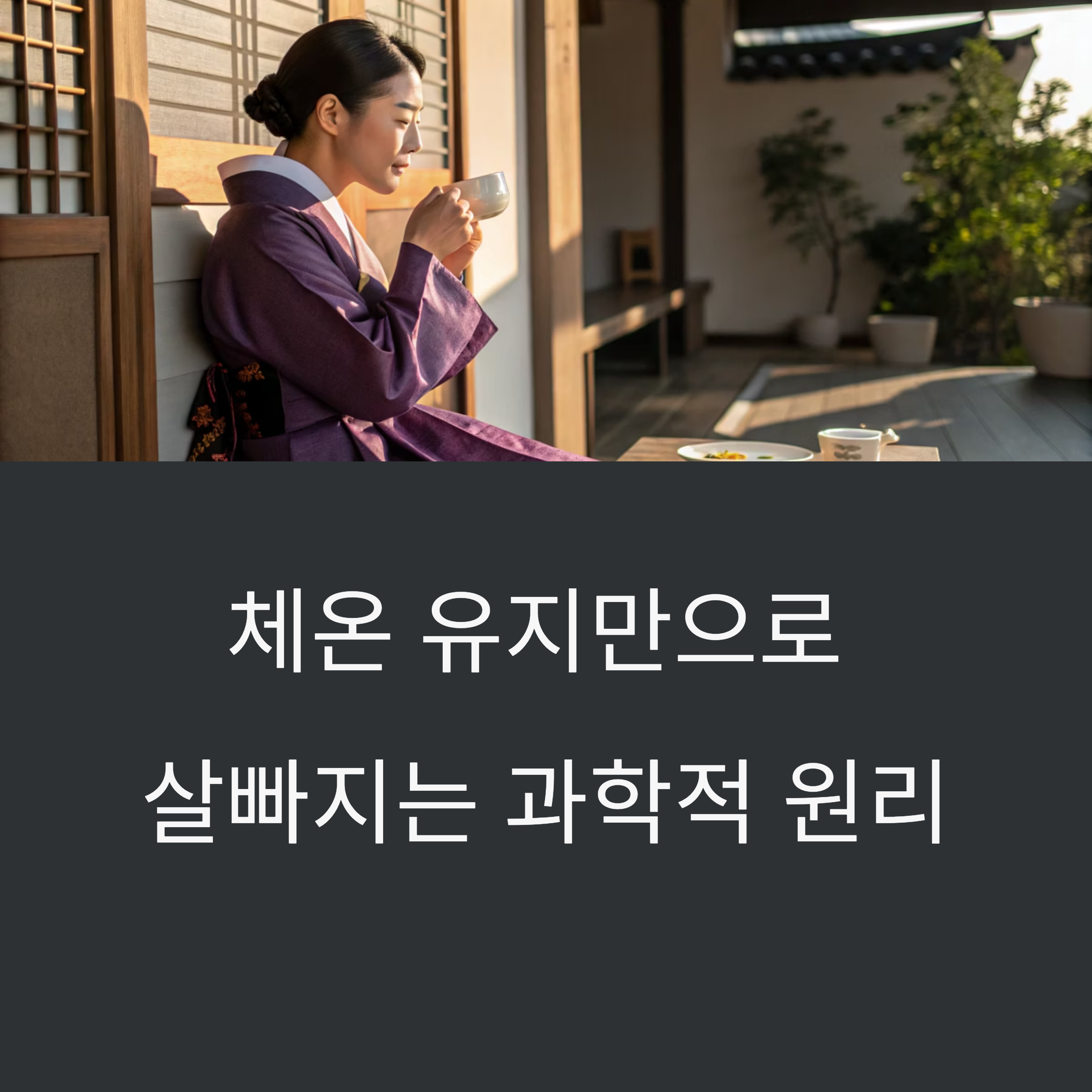 체온 유지만으로 살 빠지는 과학적 원리