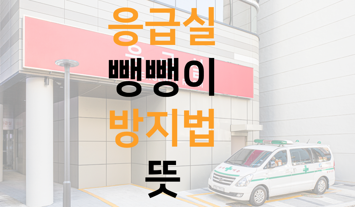 응급실-뺑뺑이-방지법-뜻-안내-배너