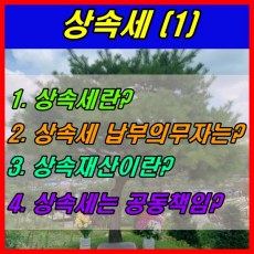 상속세 정의-납부의무자-상속재산과 공동책임
