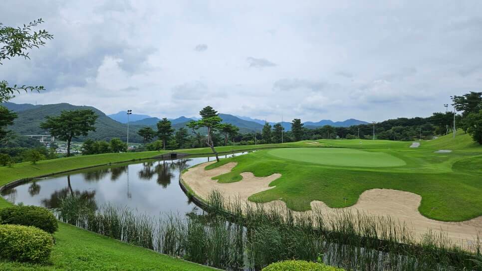 골프장 경험당 충주 올데이 로얄포레cc 자연 속 최상의 골프 경험과 프리미엄 코스