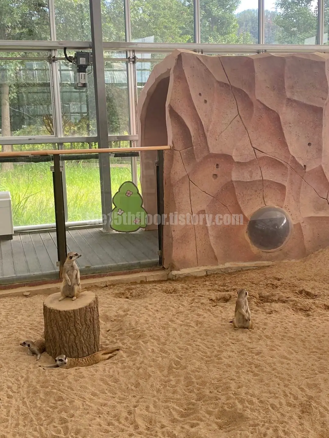 경남 의령 &amp;#39;의령 곤충생태학습관&amp;#39; (1층 &amp;#39;사막관&amp;#39;&amp;#44; &amp;#39;열대관&amp;#39;)