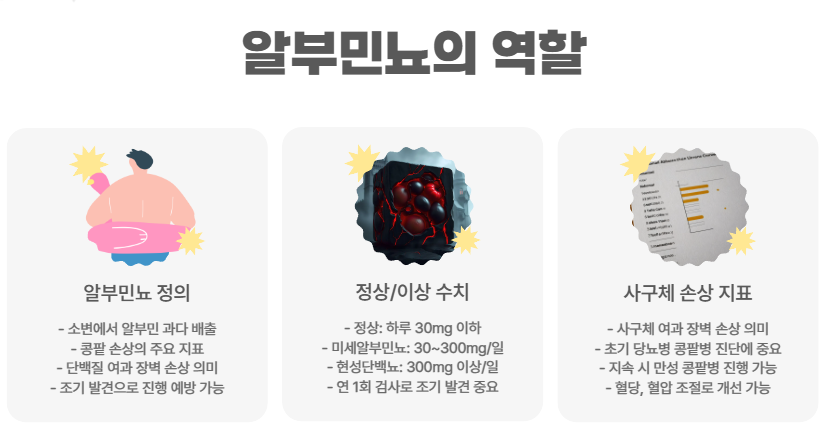 알부민뇨의 역할