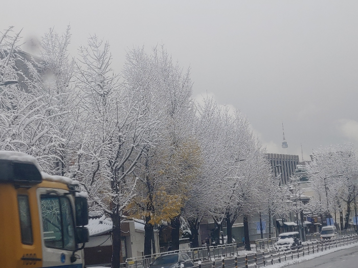 종로-올해-첫눈