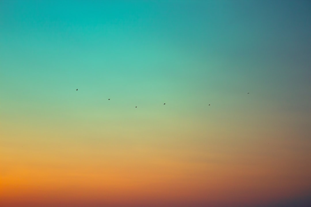 Minimalism.