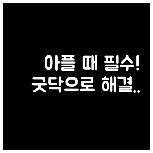 야간 휴일 약국 위치 정보와 병원 예..