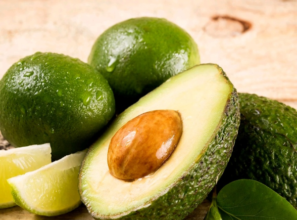 아보카도 2