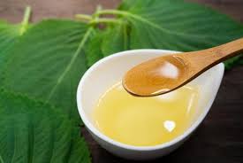 들깨 파종 시기