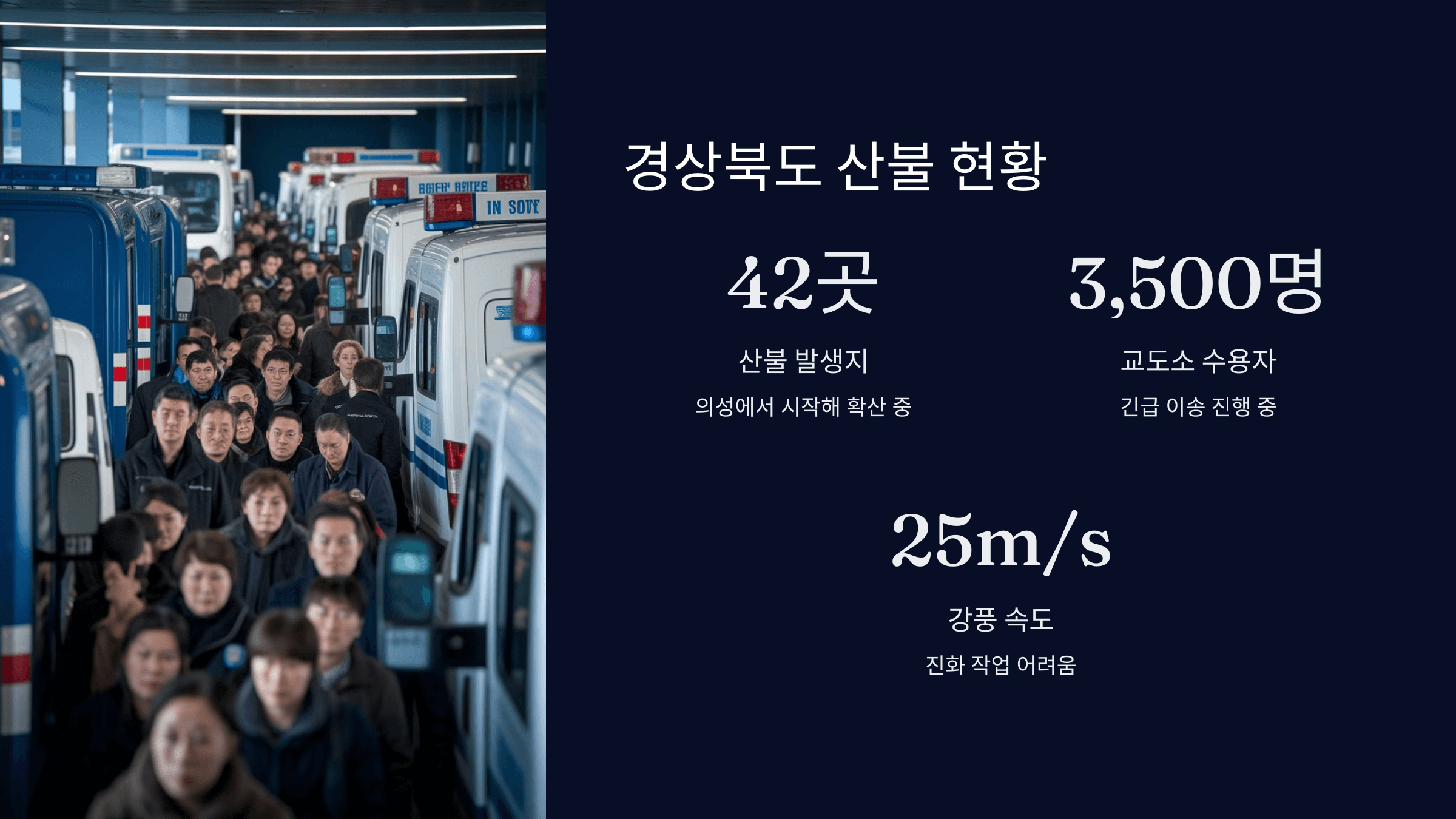 산불 현황