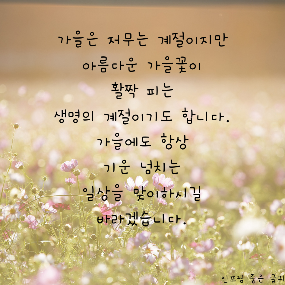 가을 인사말 문구 이미지 모음집 가을 아침 인사말 안부 메세지 모음