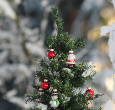 연말인사에 대하여 알아보기