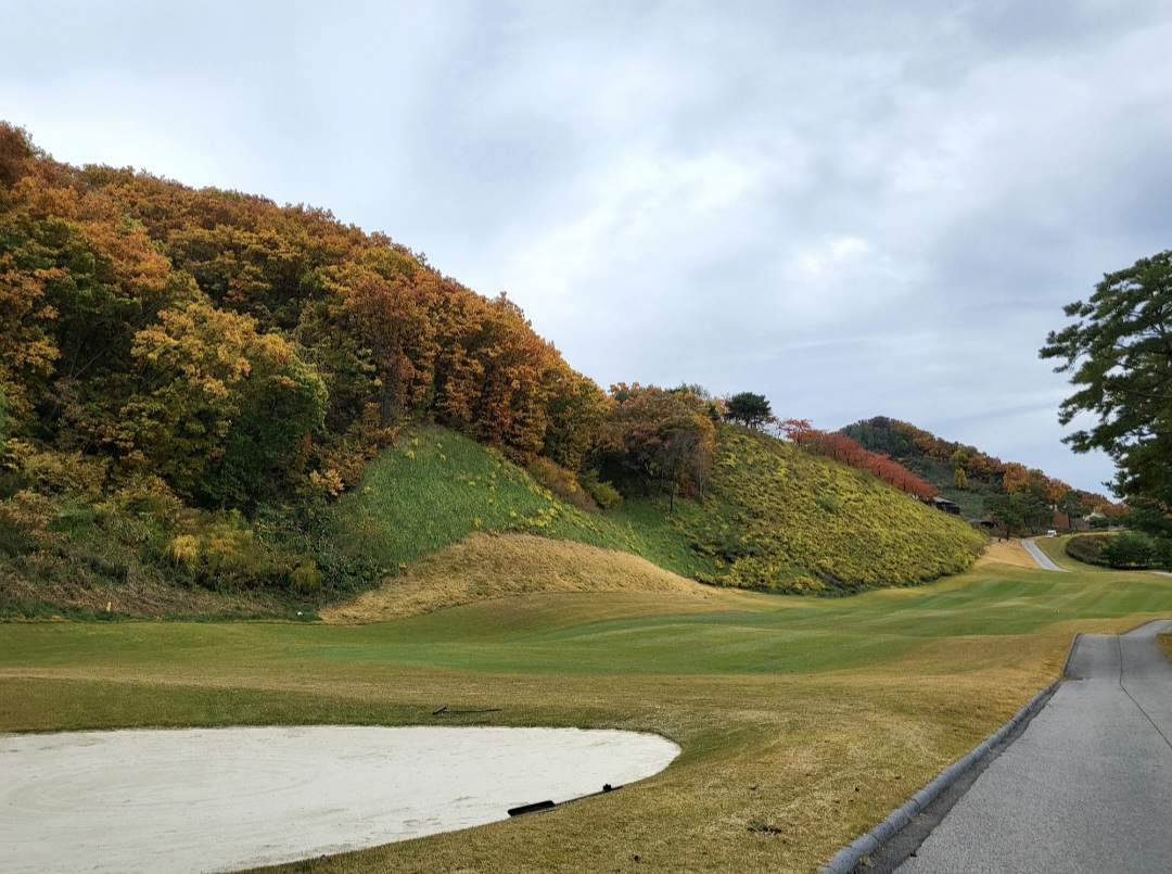 가을단풍으로 뒤덮인 로제비앙CC