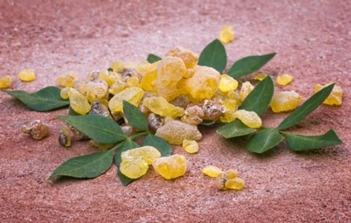 보스웰리아 하루섭취량