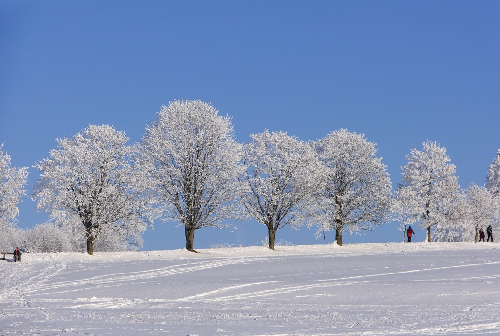 야키 육상(Yukigassen): 전략과 팀워크가 어우러진 눈싸움 대회