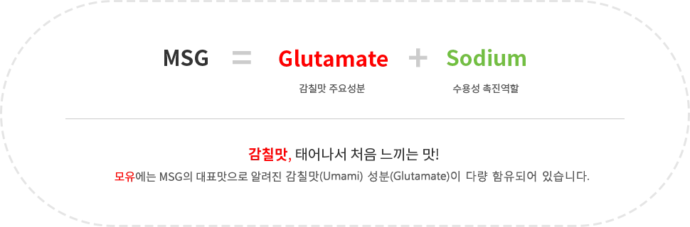 msg 란_4