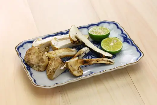 송이버섯 가격 및 효능 효과 먹는방법