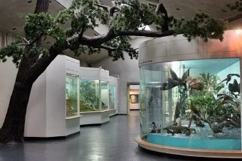 아이와 제주 여행 제주 민속 자연사박물관 예매 코스 가이드_15