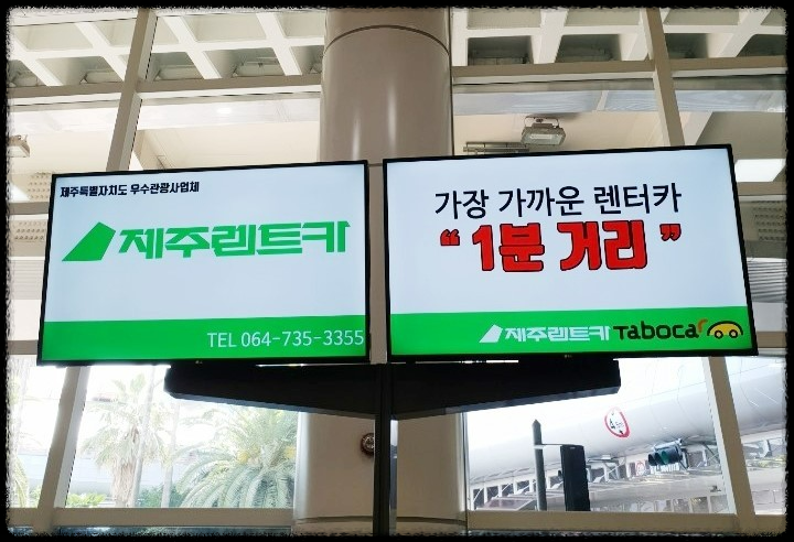 제주 렌터카