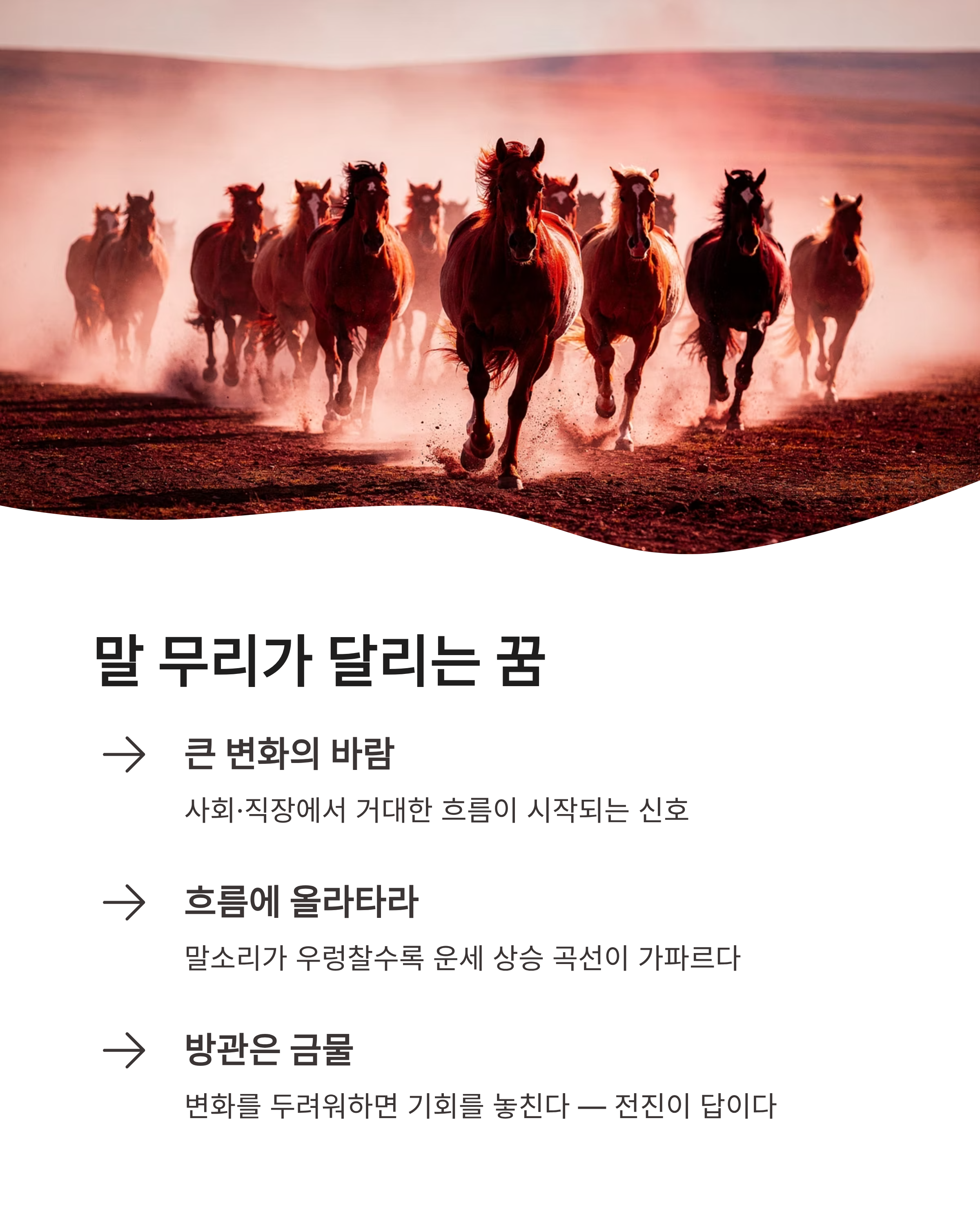 말꿈 해몽 상황별 총정리! 백마 타는 꿈부터 검은 말까지 운세 대박 터지는 신호일까?