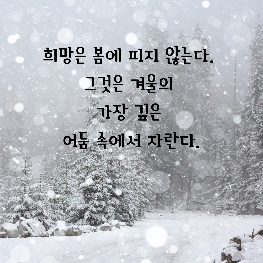 겨울 좋은 글귀 겨울 명언 문구 이미지
