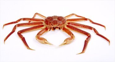 아연 많은 음식