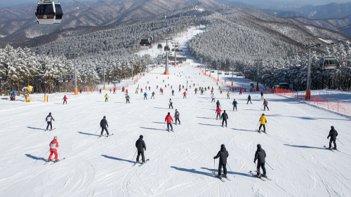 충청 전라권 스키장 개장 일정 무주 덕유산 오투 리조트