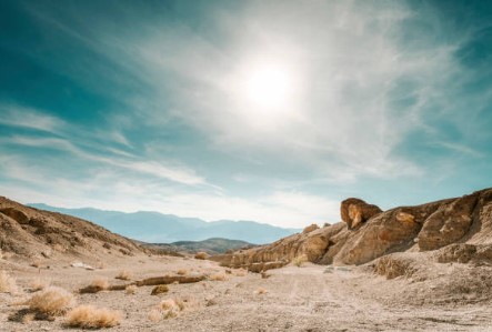 토지이용계획 확인원 무료열람 발급 토지이음 사이트