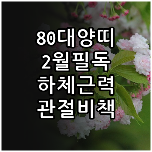 80대 양띠 어르신 2월 건강 수칙 ..