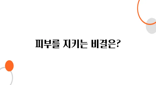 노화 방지 동안 피부를 만드는 항산화 습관
