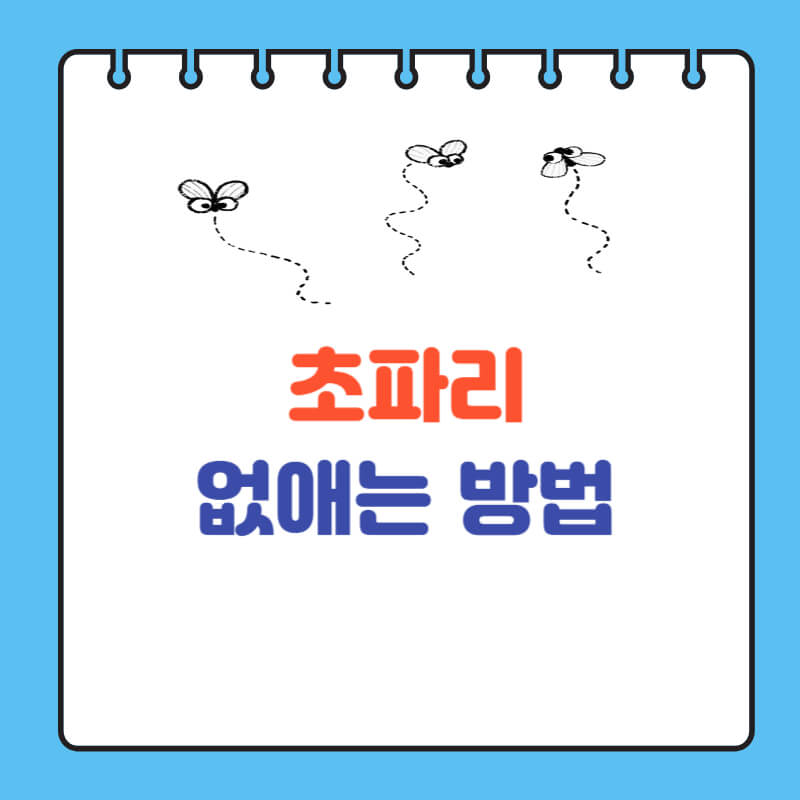 초파리 없애는 법