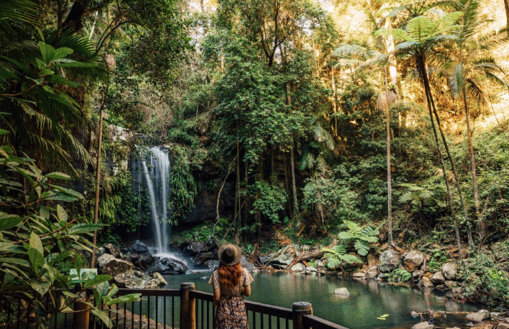 [호주 골든코스트 가볼만한곳 TOP9] 놓치면 후회하는 필수 여행지 총정리