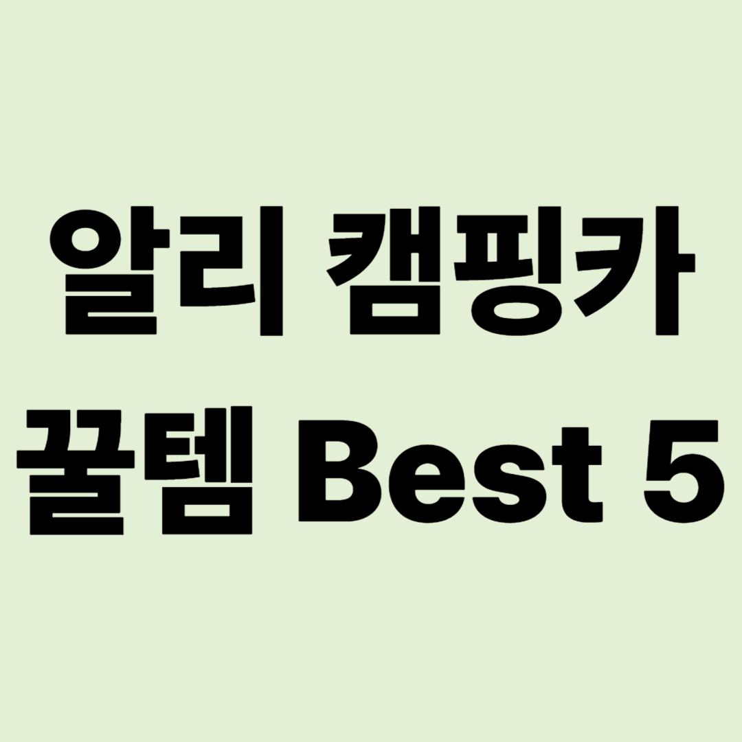 "이 가격에 이게 된다고?" 알리익스프레스 캠핑카 꿀템 Best 5