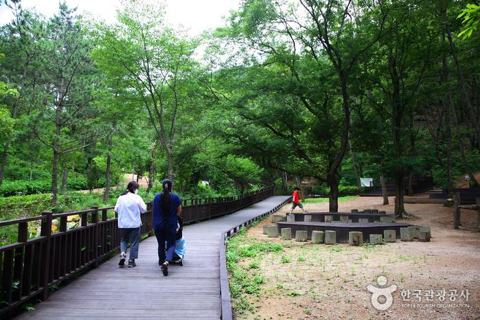 부산 치유의 숲