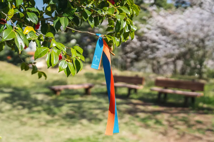 도두봉 올레길 리본이 걸린 나뭇가지 감성 디테일