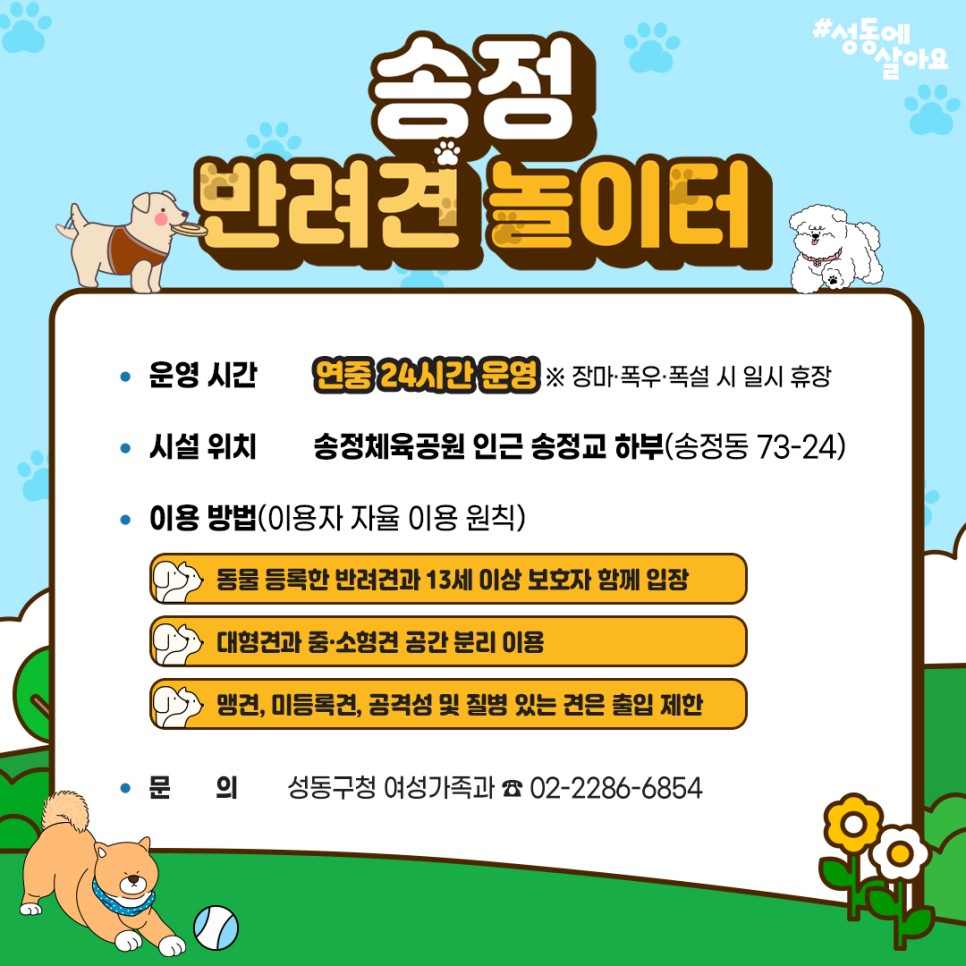 애견