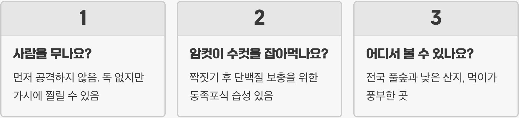 왕사마귀 크기 일반 사마귀보다 훨씬 크고 위압적인 체형의 차이점