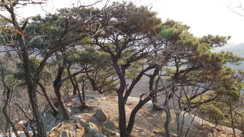 100대 명산 등산하기 열네번째 강화도 마니산 우리 민족의 뿌리 신화와 국가 제례의 중심지 역할을 해온 역사·문화의 산