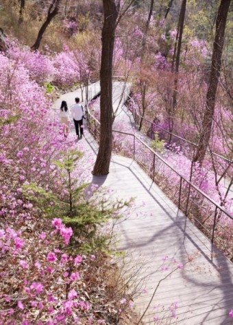 화담숲예약하기