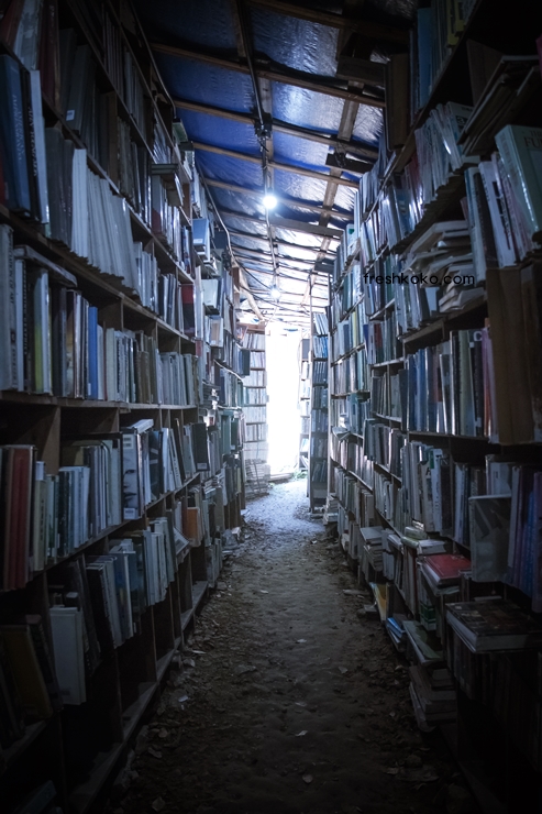 단양 가볼만한곳