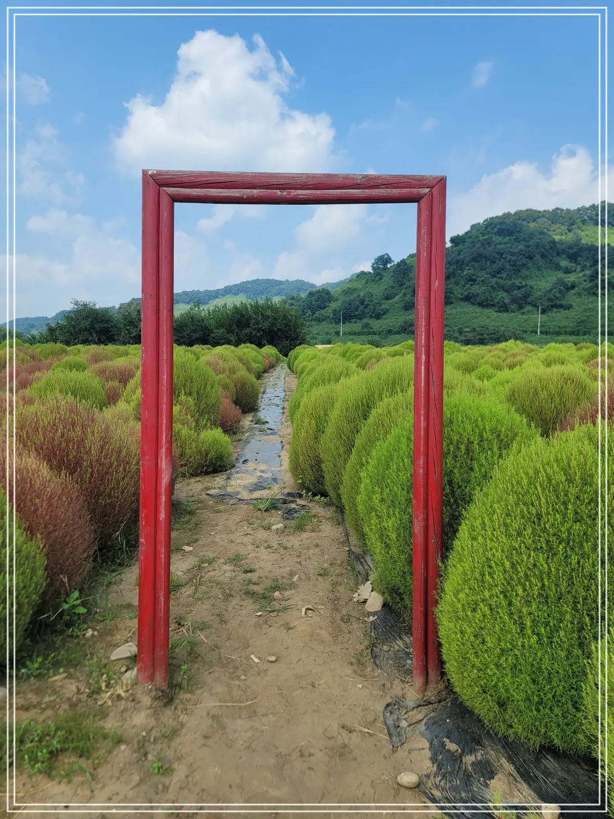 댑싸리정원-포토존