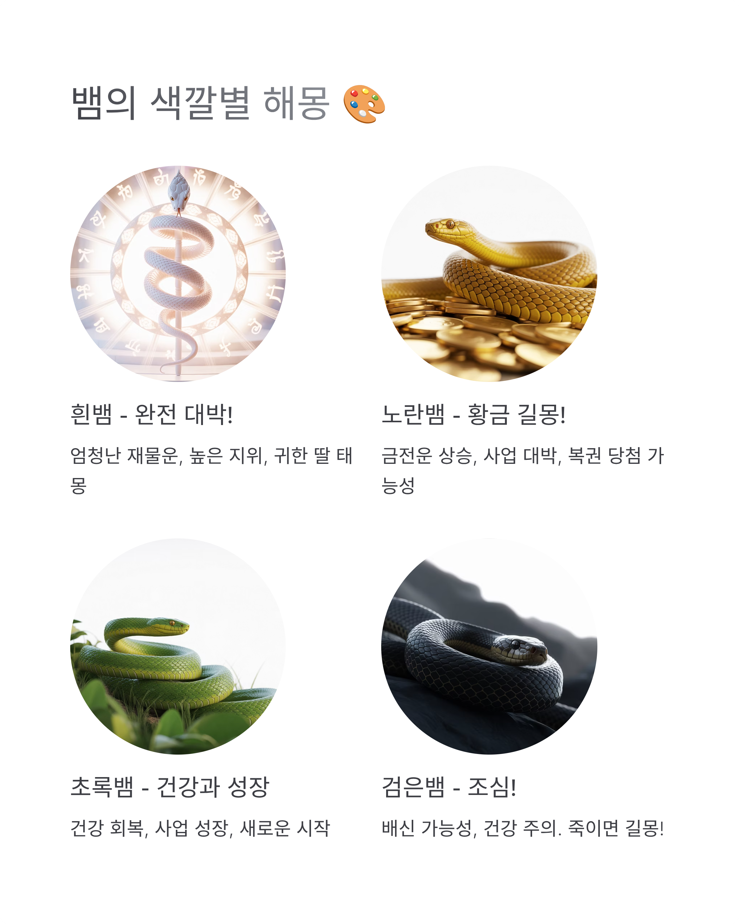 뱀꿈 해몽 총정리