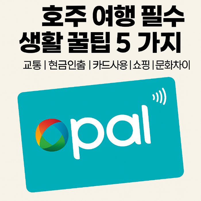 호주 여행 필수 생활 꿀팁