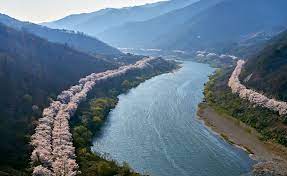 전라남도 구례 섬진강 벚꽃 명소 베스트 5 벚꽃시기 만개시기 드라이브 코스