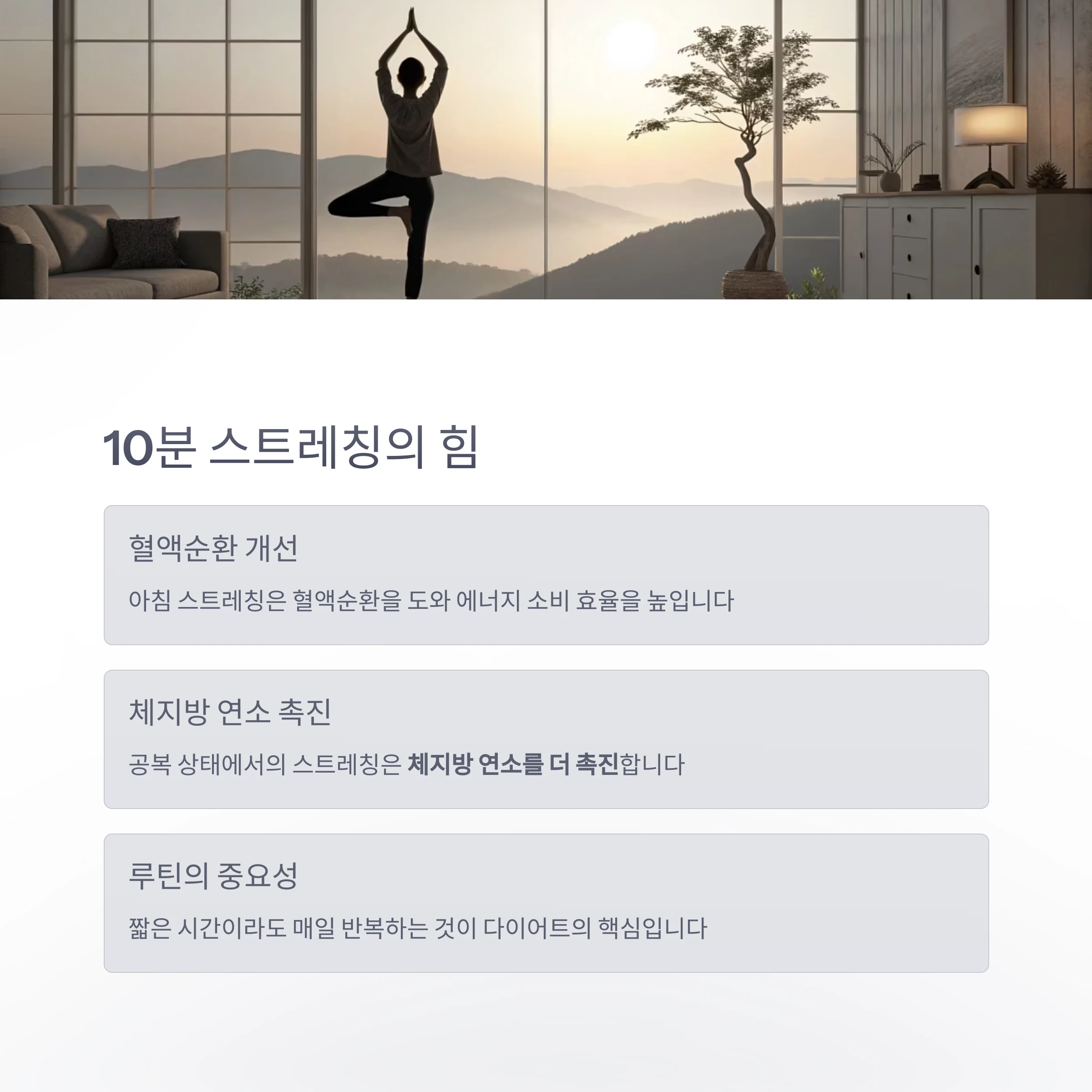 아침루틴