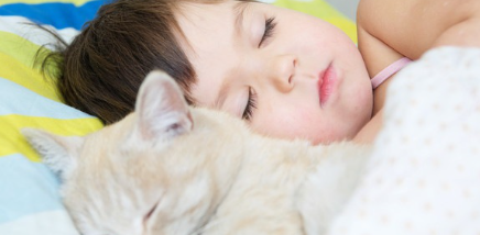 아기와 자는 고양이.