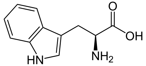 L트립토판 구조